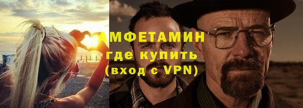 сатива Вяземский