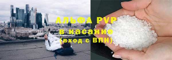 сатива Вяземский