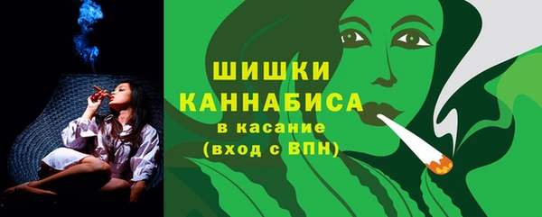 сатива Вяземский