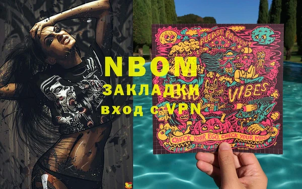 сатива Вяземский
