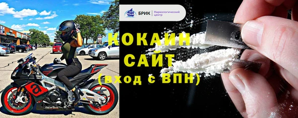сатива Вяземский
