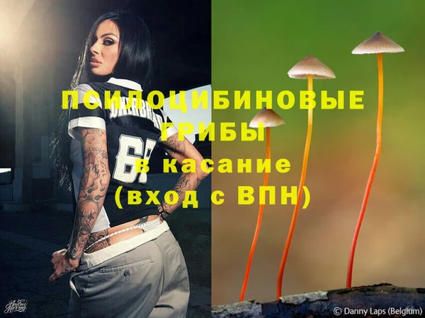 сатива Вяземский