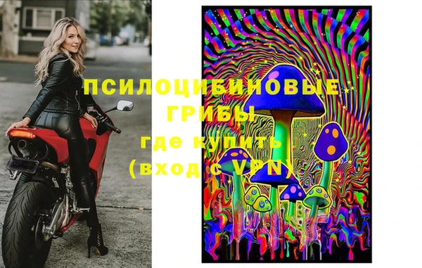 apvp Нязепетровск