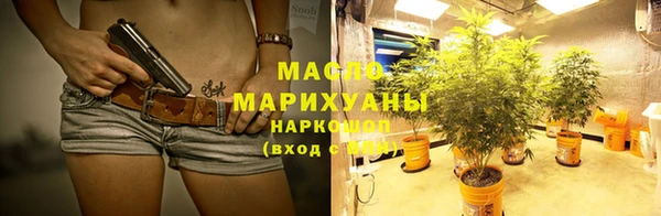 сатива Вяземский