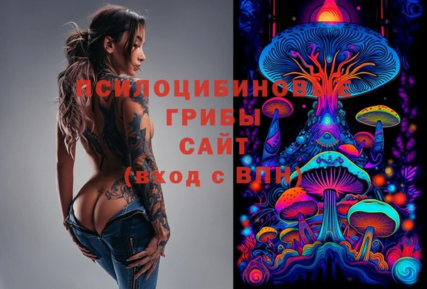 сатива Вяземский